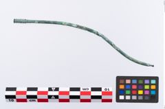 Foto von Bronzerippenkopfnadel (NHMW-PRAE-035771)